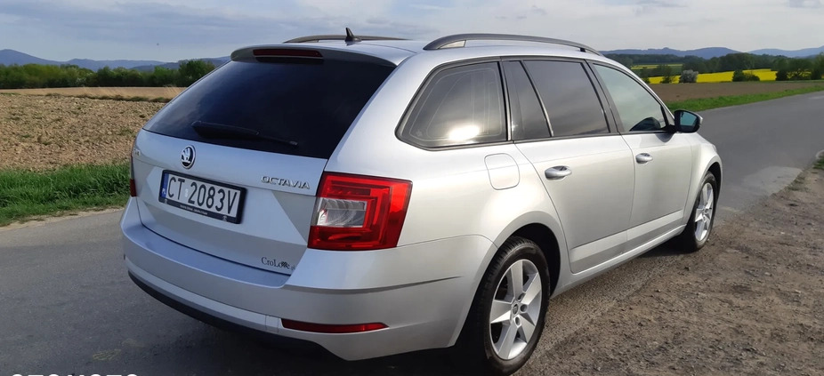Skoda Octavia cena 49900 przebieg: 176000, rok produkcji 2017 z Syców małe 631